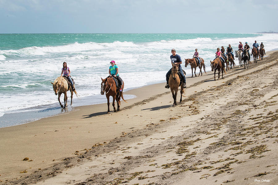Horses on the Beach Photograph by Fran Gallogly