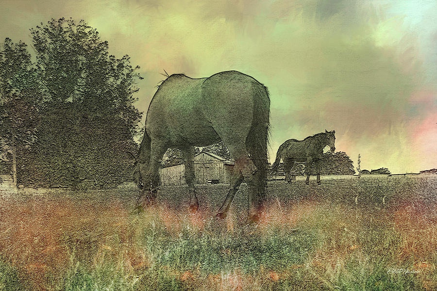 Horse Photograph - Horses on the Farm 6034 by Ericamaxine Price