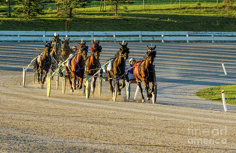 Horses on the race track Photograph by Les Palenik