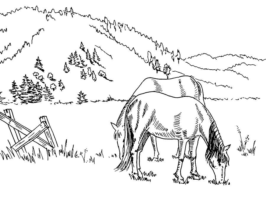 Horses On The Ranch Ink Drawing IV Drawing by Irina Sztukowski