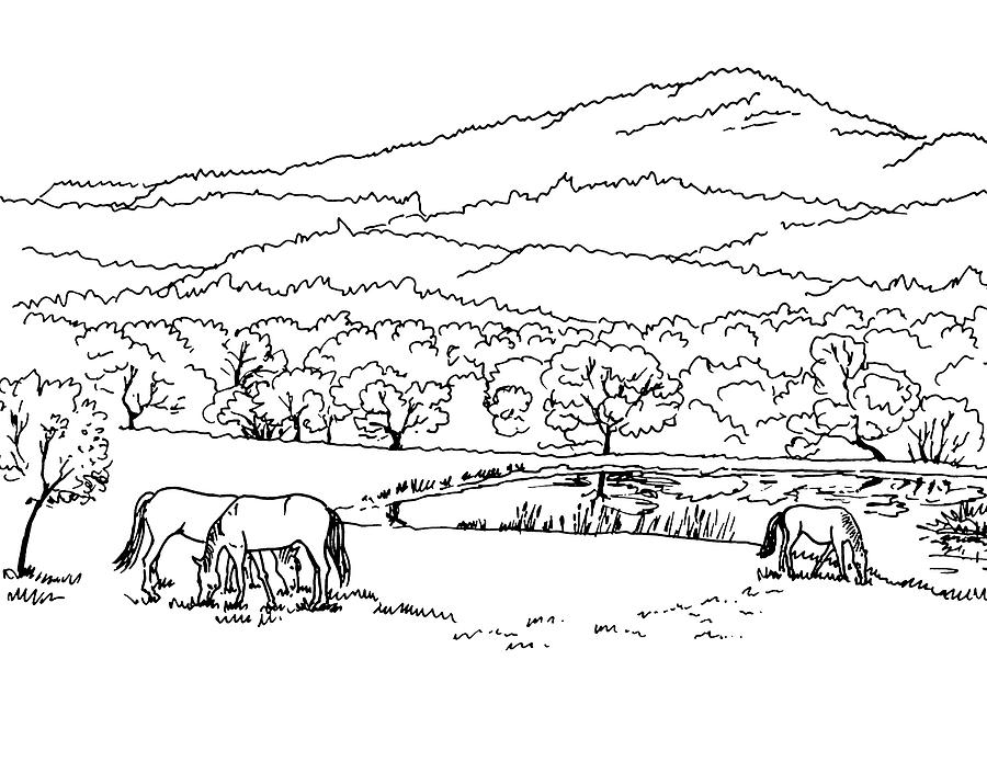 Horses On The Ranch Ink Drawing V Drawing by Irina Sztukowski
