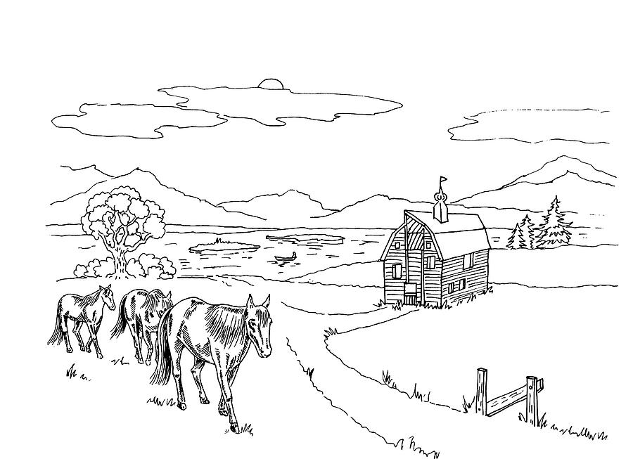 Horses On The Ranch Ink Drawing VI by Irina Sztukowski