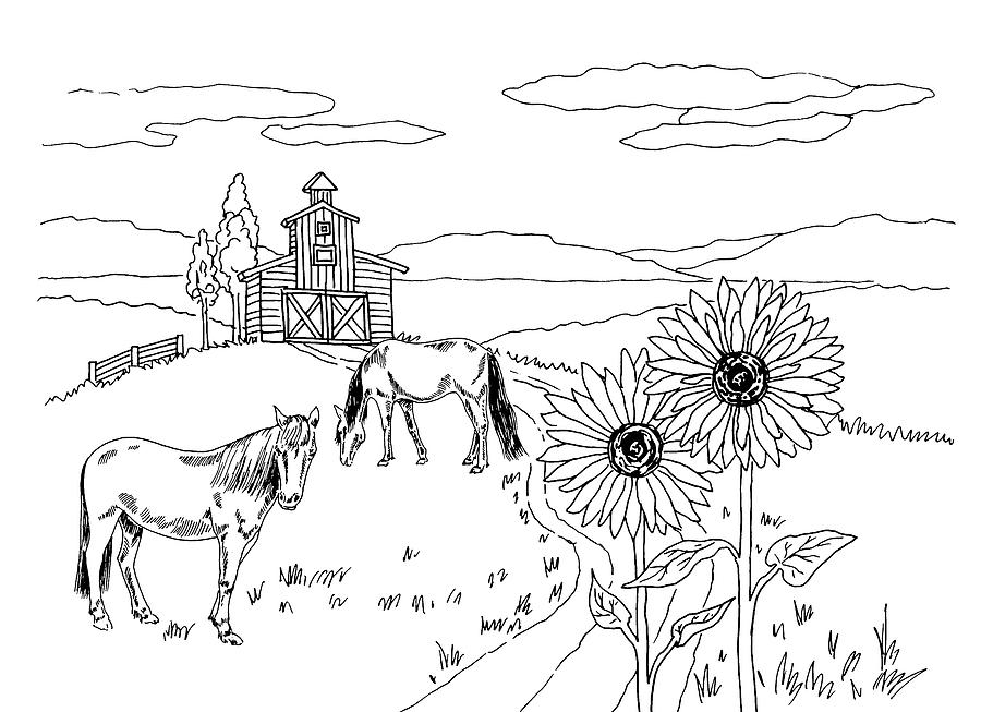 Horses On The Ranch Ink Drawing Vii Drawing