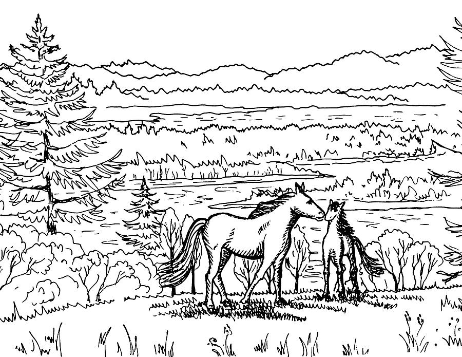 Horses On The Ranch Ink Drawing X Drawing