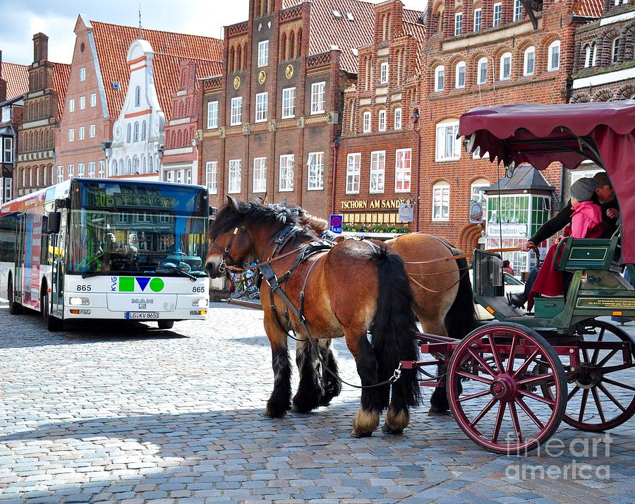 Horses on Tour by Lula Adams Horses on Tour by Lula Adams