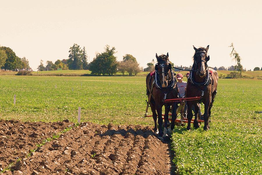 Horses Plowing Rows Three  Photograph by Lyle Crump