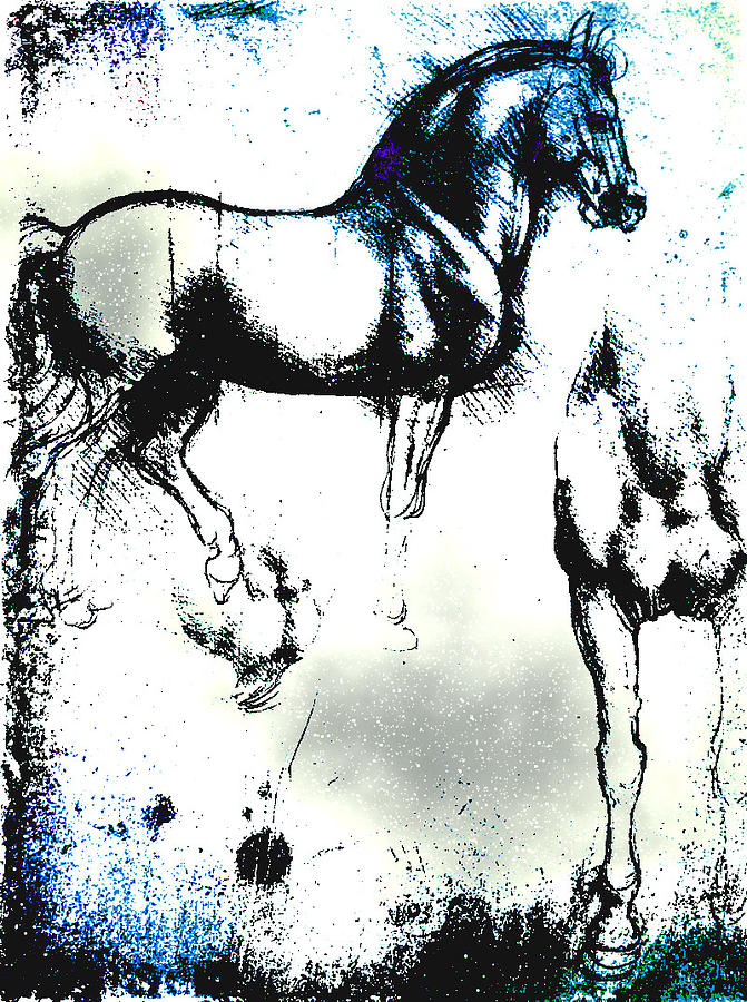 Horses Study 4 Digital Art by Laura Boyd