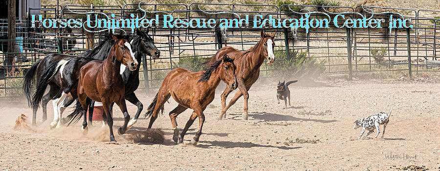 Horses Unlimited Rescue_Nb Digital Art by Walter Herrit