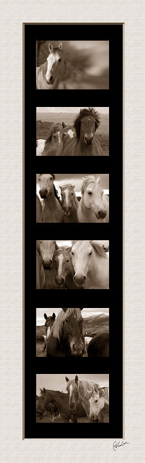 Horses Vertical Photograph by Christine Hauber