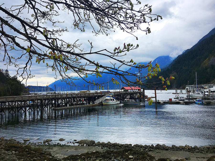 Horseshoe Bay ... Early Spring  Photograph by Connie Handscomb