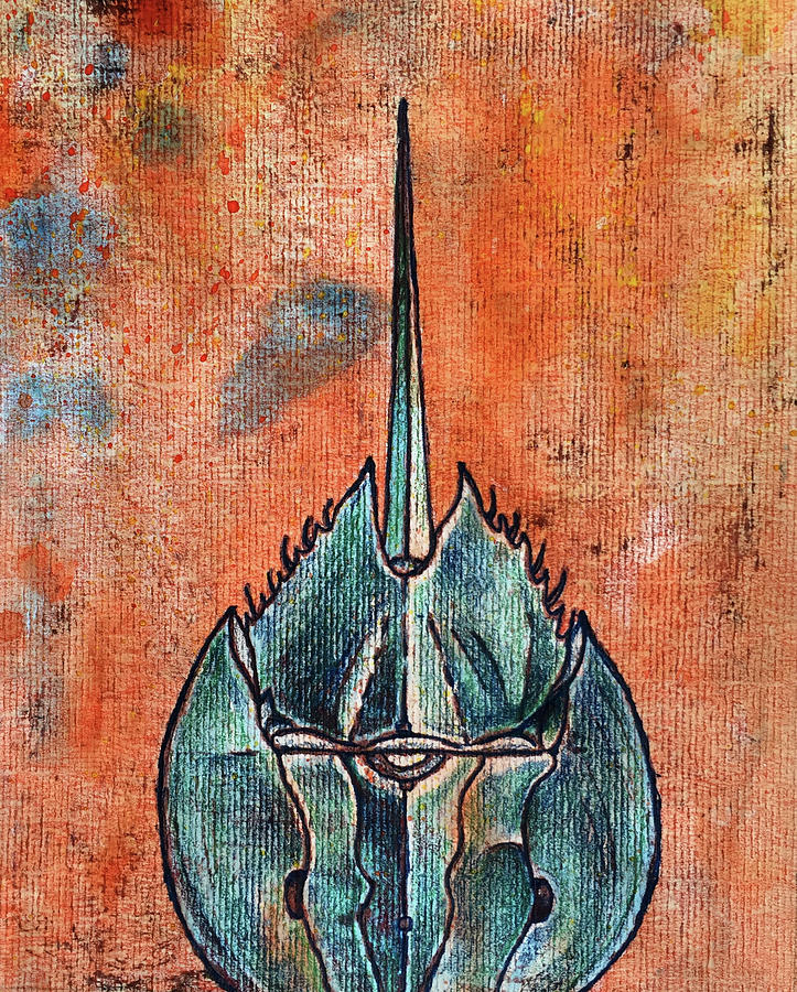 Horseshoe Crab No.3 Mixed Media by AnneMarie Welsh