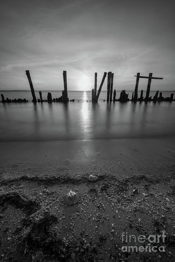 Walk On Water Photograph - Horseshoe Crab Sunset Bw by Michael Ver Sprill Walk On Water Photograph - Horseshoe Crab Sunset Bw by Michael Ver Sprill