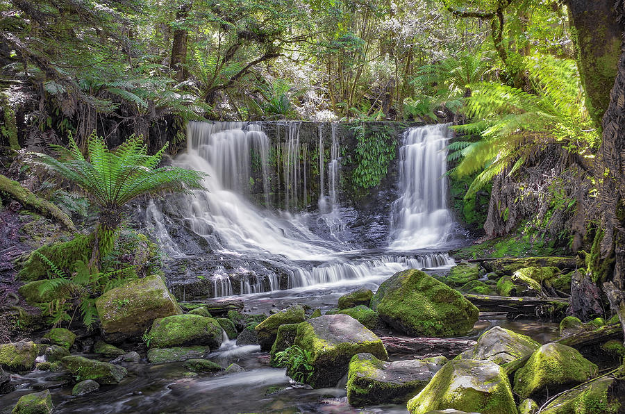 Horseshoe Falls - Southern Tasmania - Australia Photograph by Tony ...