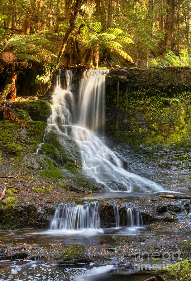 Horseshoe Falls Tasmania Photograph