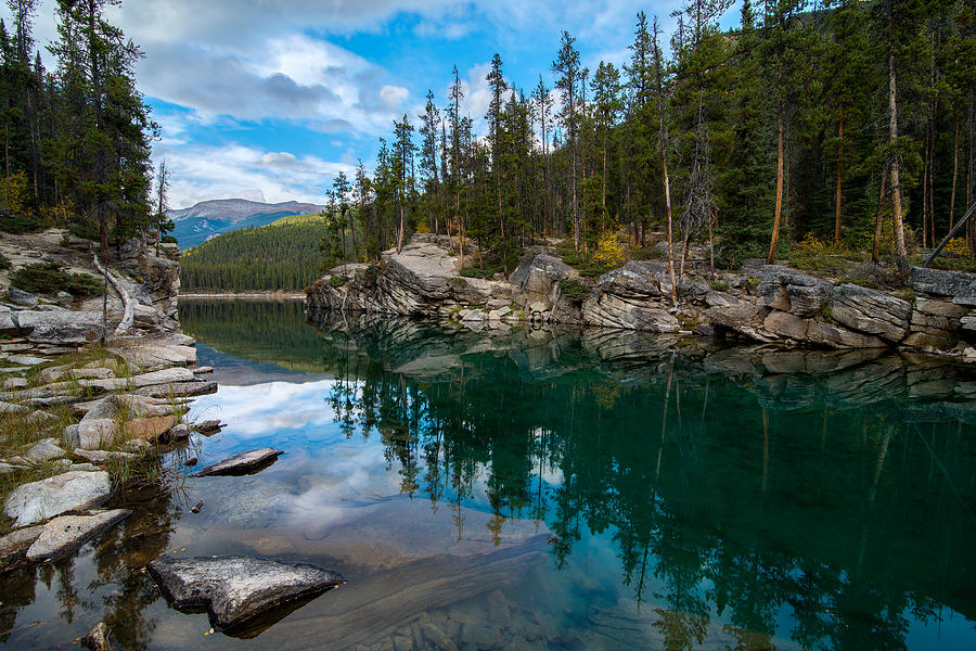 Horseshoe Lake - Jasper National Park - Alberta Canada by Michael Brandt