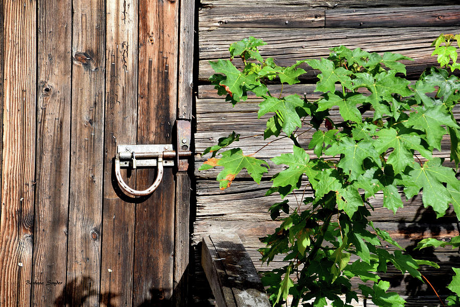Horseshoe Latch on the Barn Door Photograph by Barbara Snyder