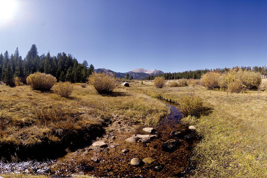 Horseshoe Meadow Sierra Nevada Photograph by Brian Lockett