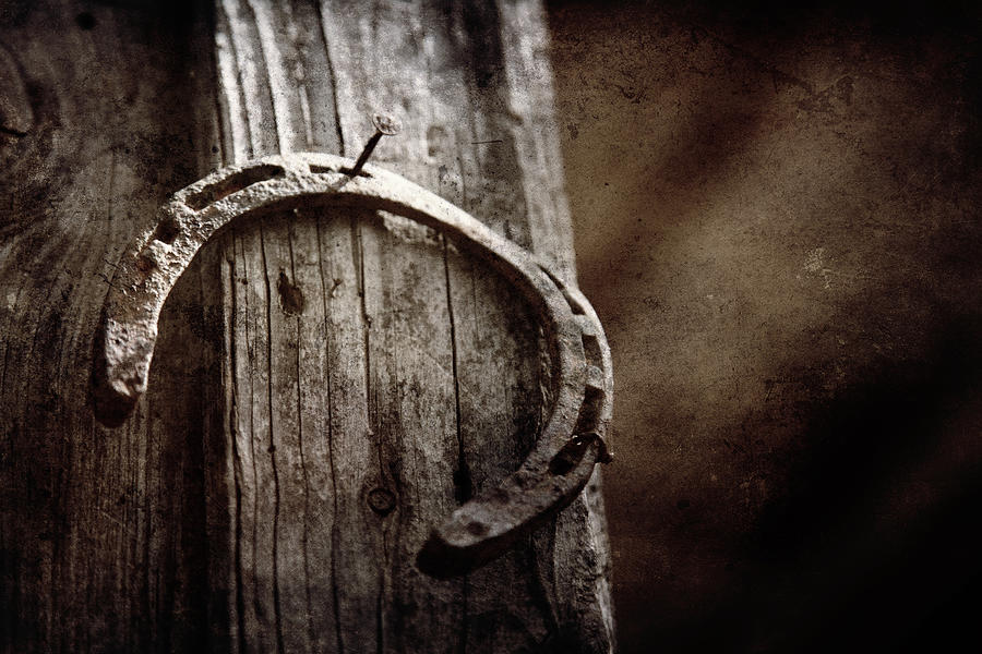Horseshoe nailed to old wood Photograph by Toni Hopper