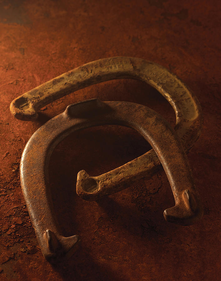 Horseshoes Photograph by Don Wolf