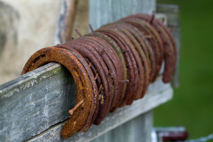 Horseshoes  Photograph by Kathy Clark