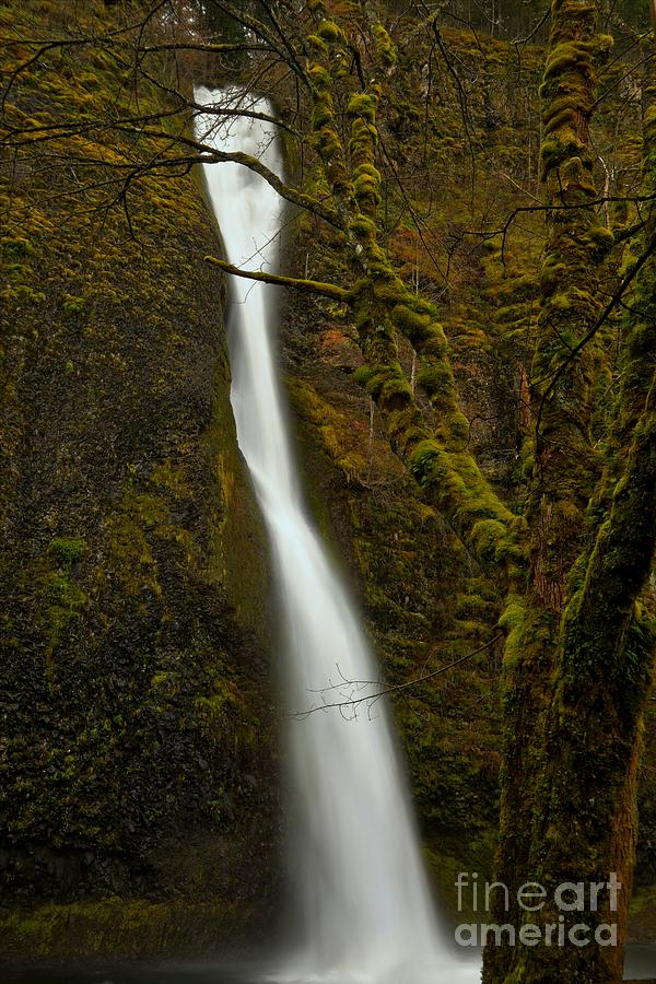 Horsetail Falls Photograph by Adam Jewell
