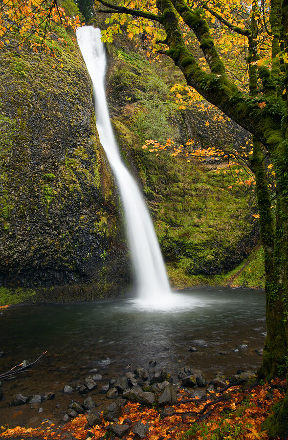 Horsetail Falls Autumn Photograph by Michael Dawson - Fine Art America