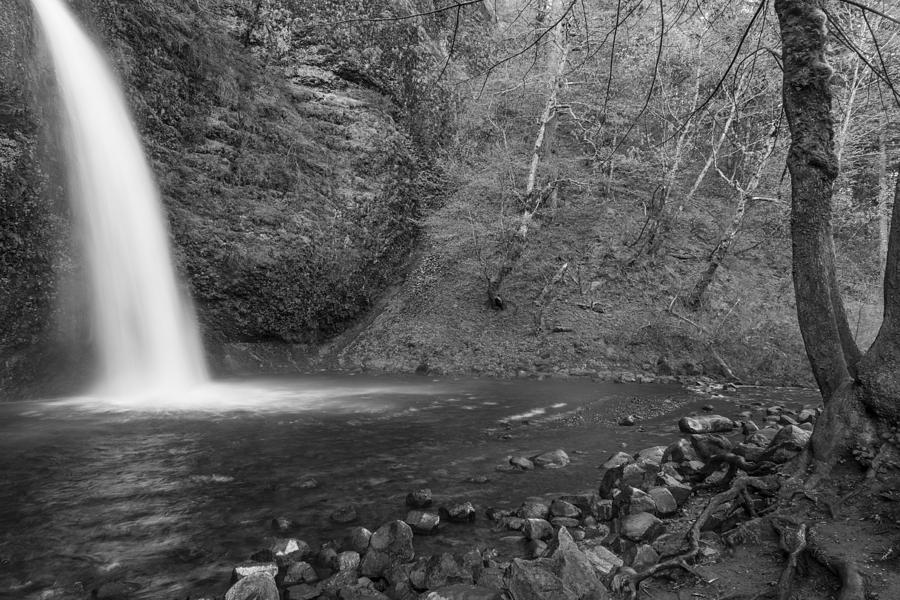 Horsetail Falls Black and White with Tree Photograph by John McGraw