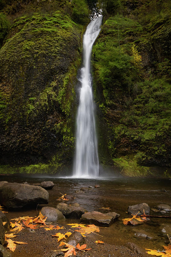 Waterfall Photograph - Horsetail Falls by Chris Steele