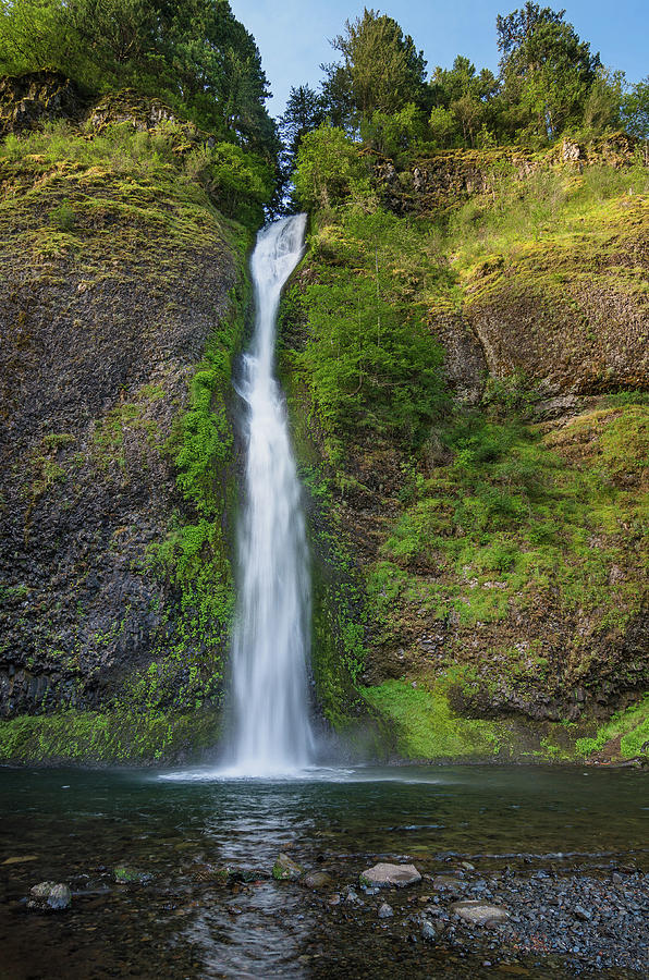 Horsetail Falls in Spring Photograph by Greg Nyquist