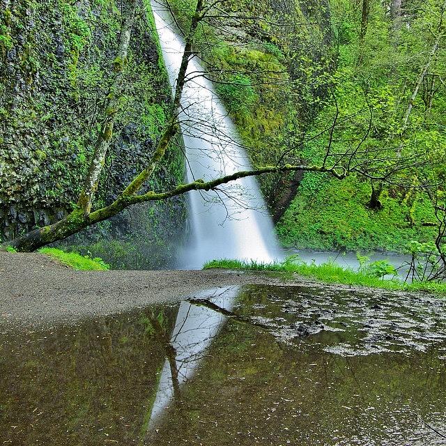 Nature Photograph - Horsetail Falls In The Gorge Reflecting by Mike Warner