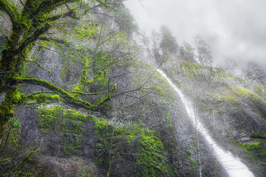 Horsetail Falls Photograph by Lorraine Baum