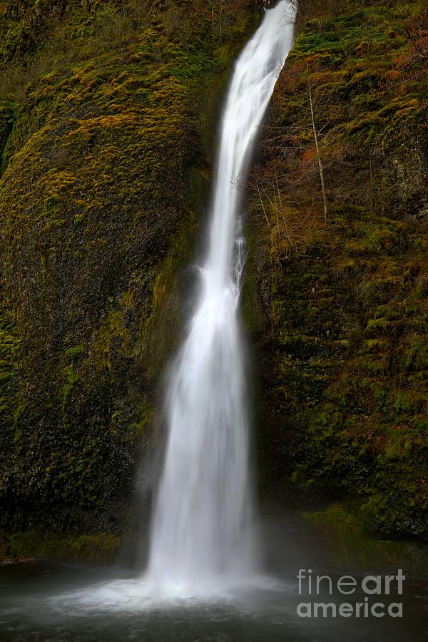 Horsetail Falls Oregon Photograph by Adam Jewell