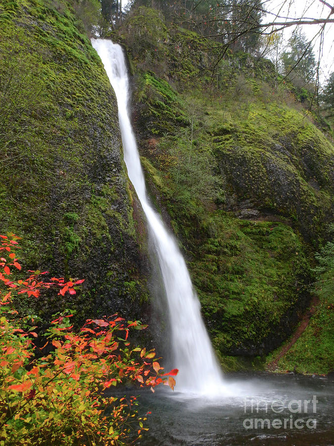 Horsetail Falls - Oregon Photograph by Scott Cameron