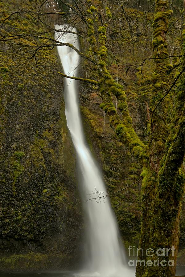 Horsetail Waterfall Photograph by Adam Jewell