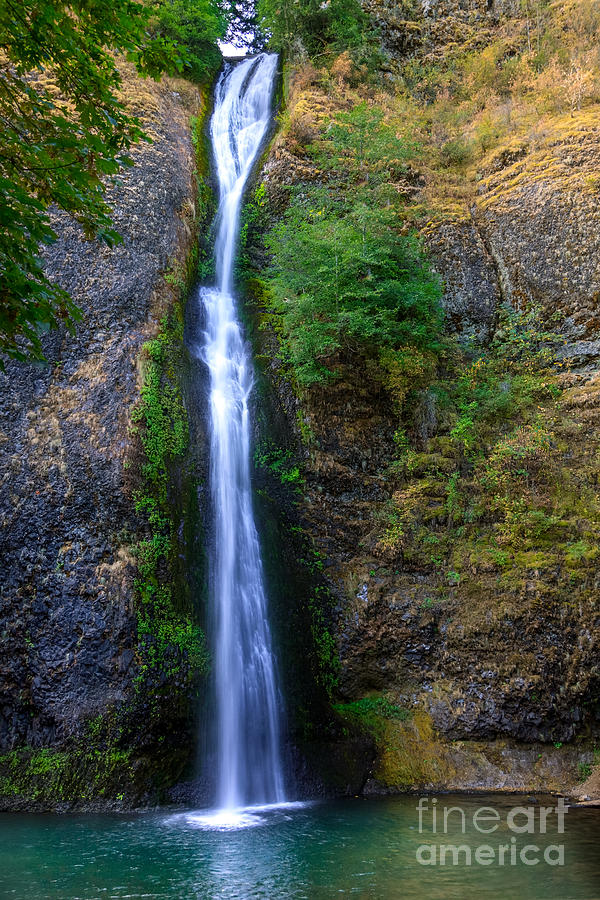 Horsetail Waterfall Photograph by Robert Bales