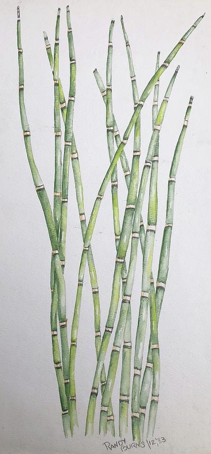 Horsetails  Painting by Rand Burns