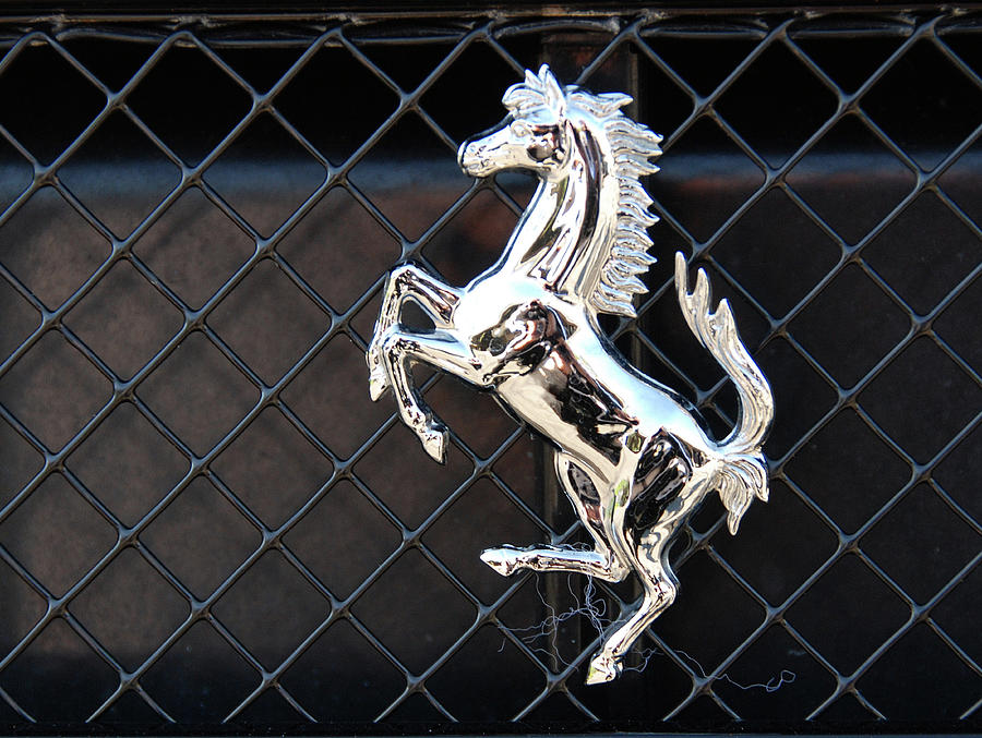 Horsey Photograph by John Schneider