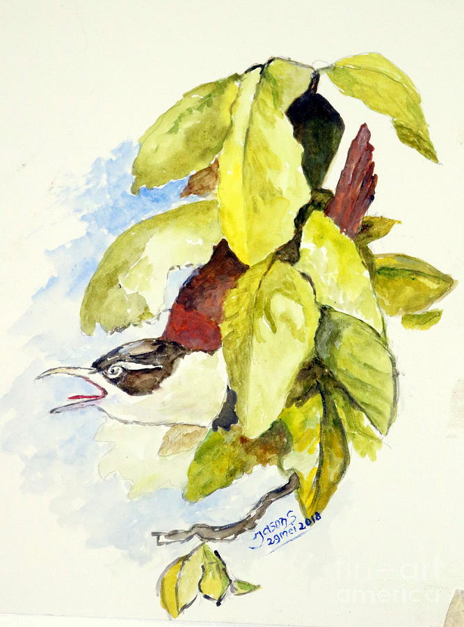 Horsfields Babbler  Painting by Jason Sentuf