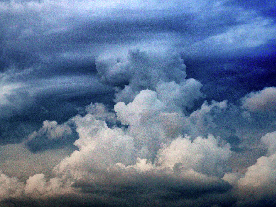 Horsing Around In A Delmarva Sky Photograph
