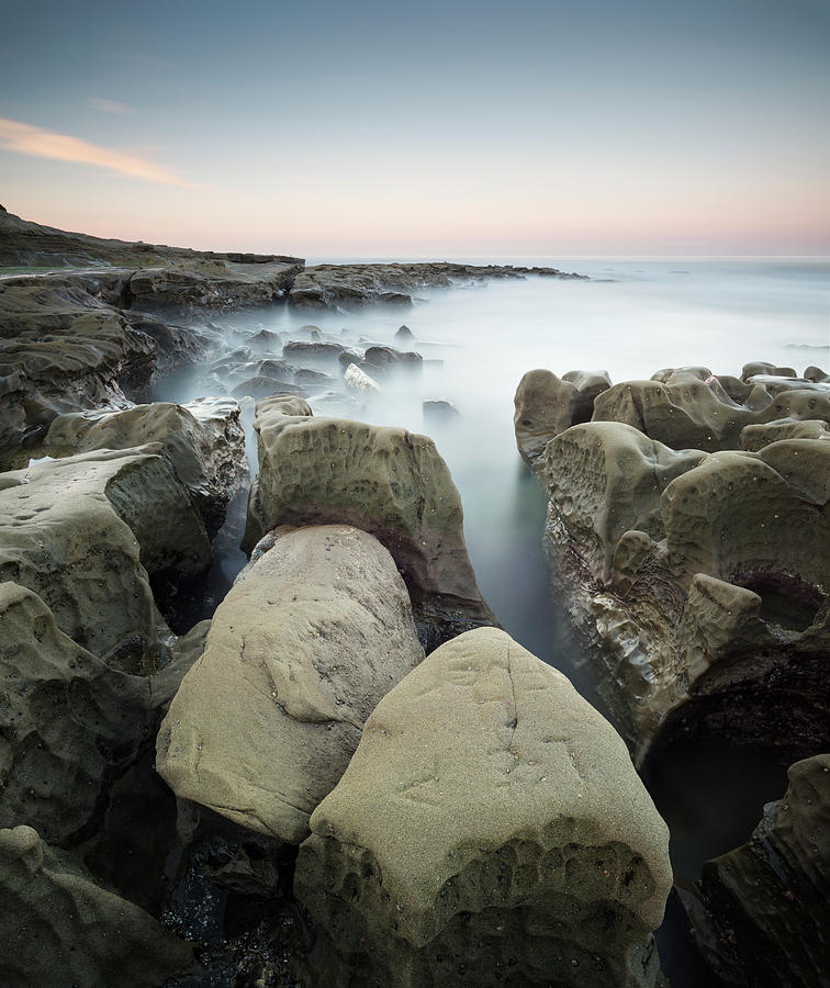 San Diego Photograph - Hospitals Reef Crevices by William Dunigan