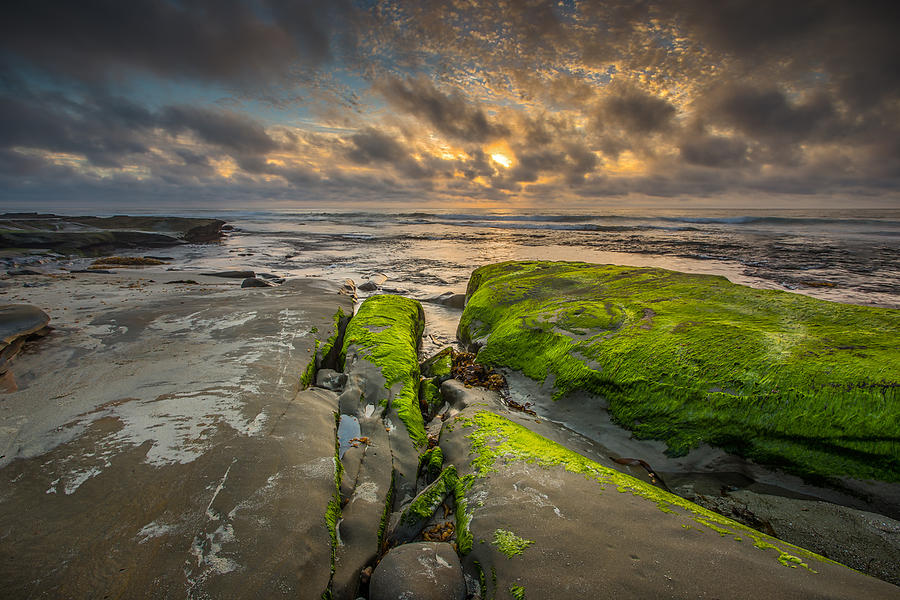 San Diego Photograph - Hospitals Reef by Peter Tellone