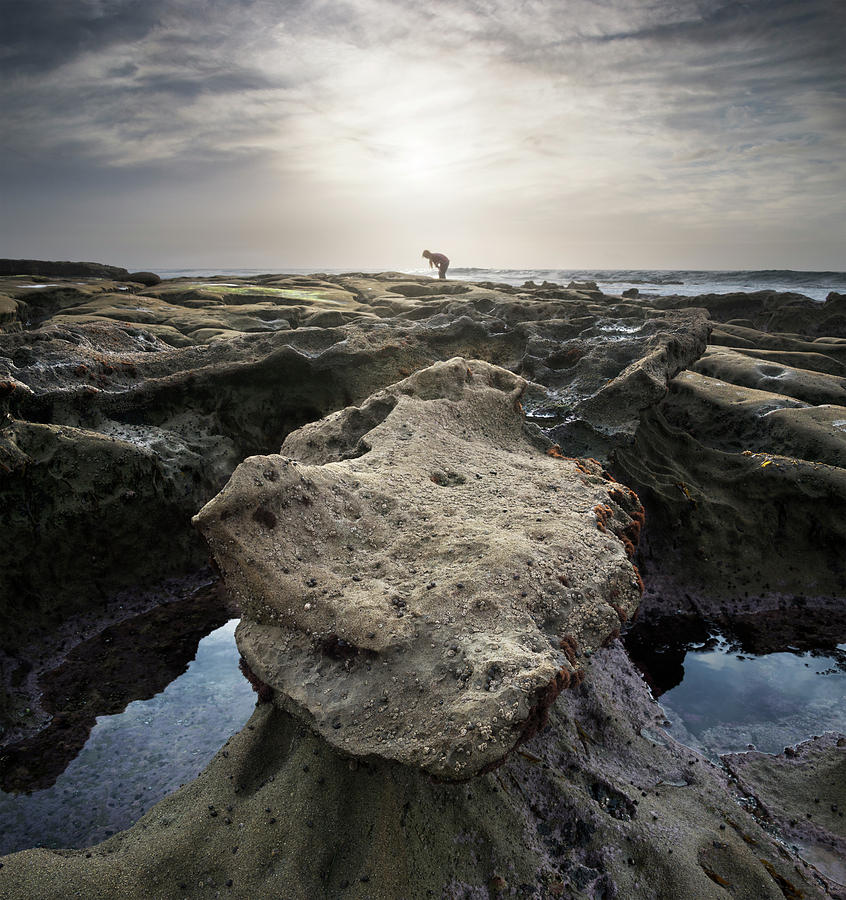 San Diego Photograph - Hospitals Reef Rock at Sunset by William Dunigan