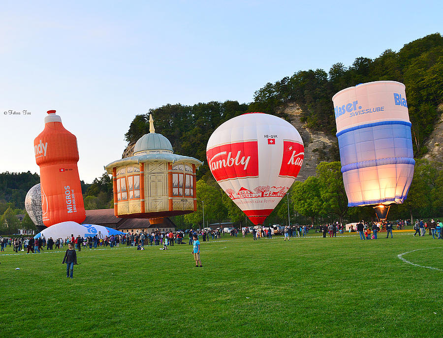 Hot air ballon 1 Photograph by Felicia Tica