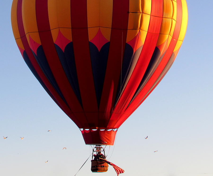 Hot Air Balloon and Flag Photograph by Adrienne Wilson - Pixels