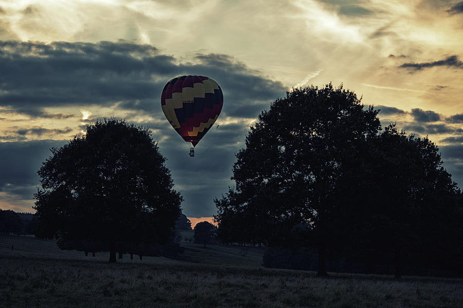 Hot Air Balloon Between The Trees At Dusk Photograph by Scott Lyons