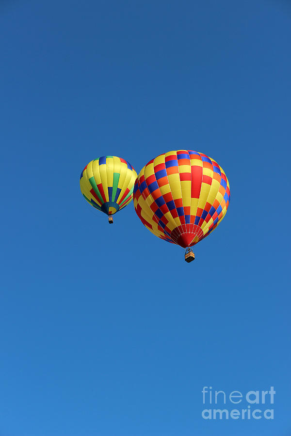 Hot Air Balloon Buddies Photograph by Karen Adams