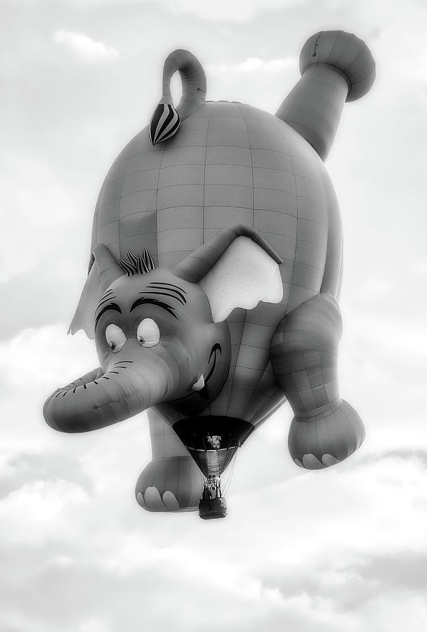 Hot Air Balloon Elephant Photograph by Deborah Penland