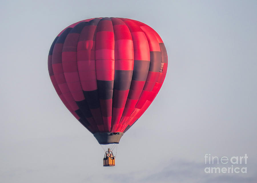 Hot Air Balloon  Photograph by Janice Drew