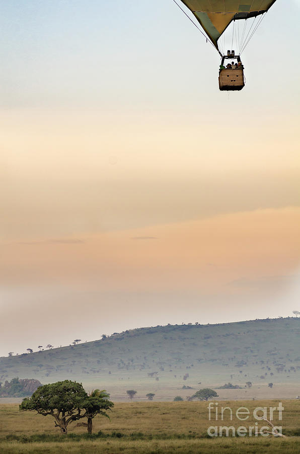 Hot air balloon over Serengeti  Photograph by RicardMN Photography