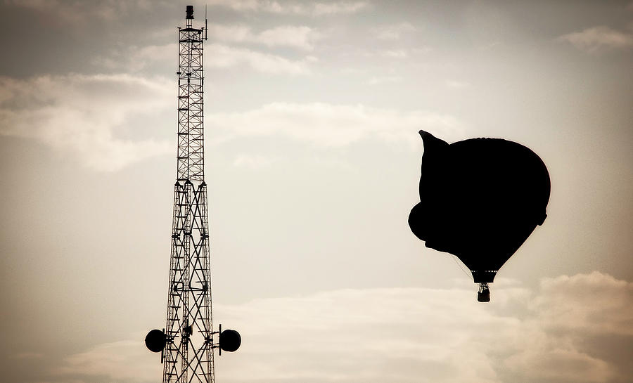 Hot Air Balloon Pig Photograph by Deborah Penland